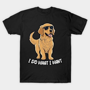 I Do What I Want Golden Chronicles, Stylish Statement Tee Extravaganza T-Shirt
